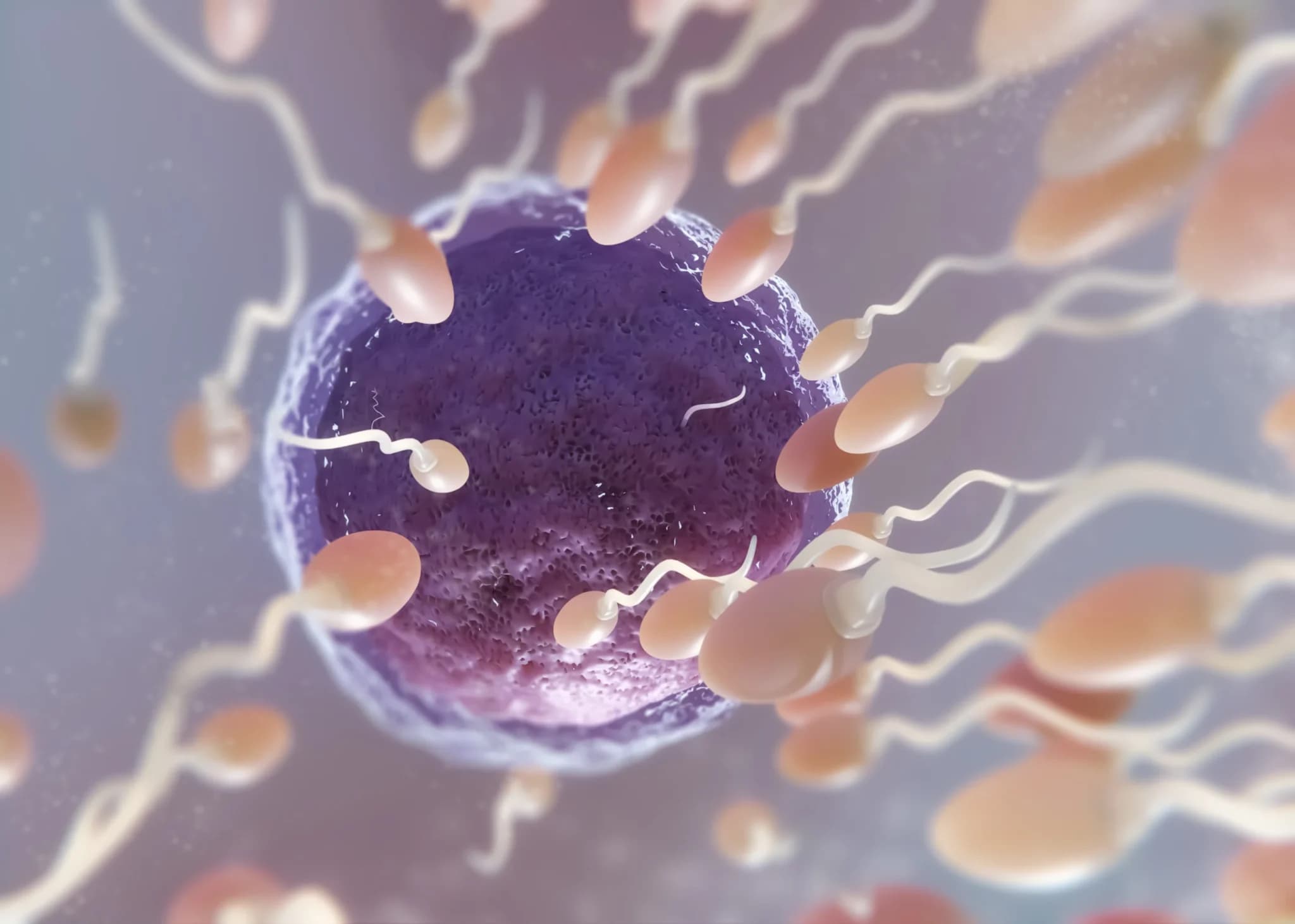 IVF
