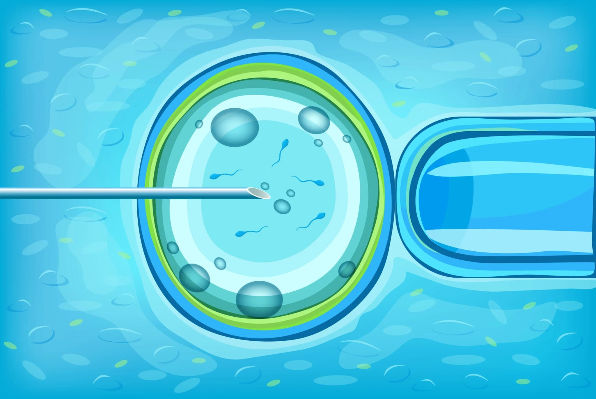 Test Tube Baby